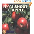 From Shoot to Apple
